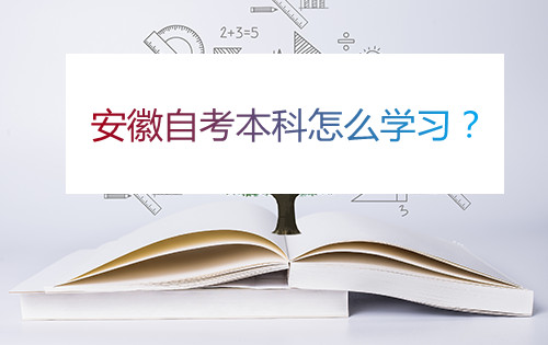 安徽自考本科怎么学习?(图1) 安徽自考本科怎么学习?(图1)